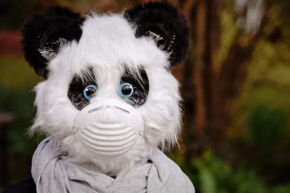 TopBet Casino Assistance